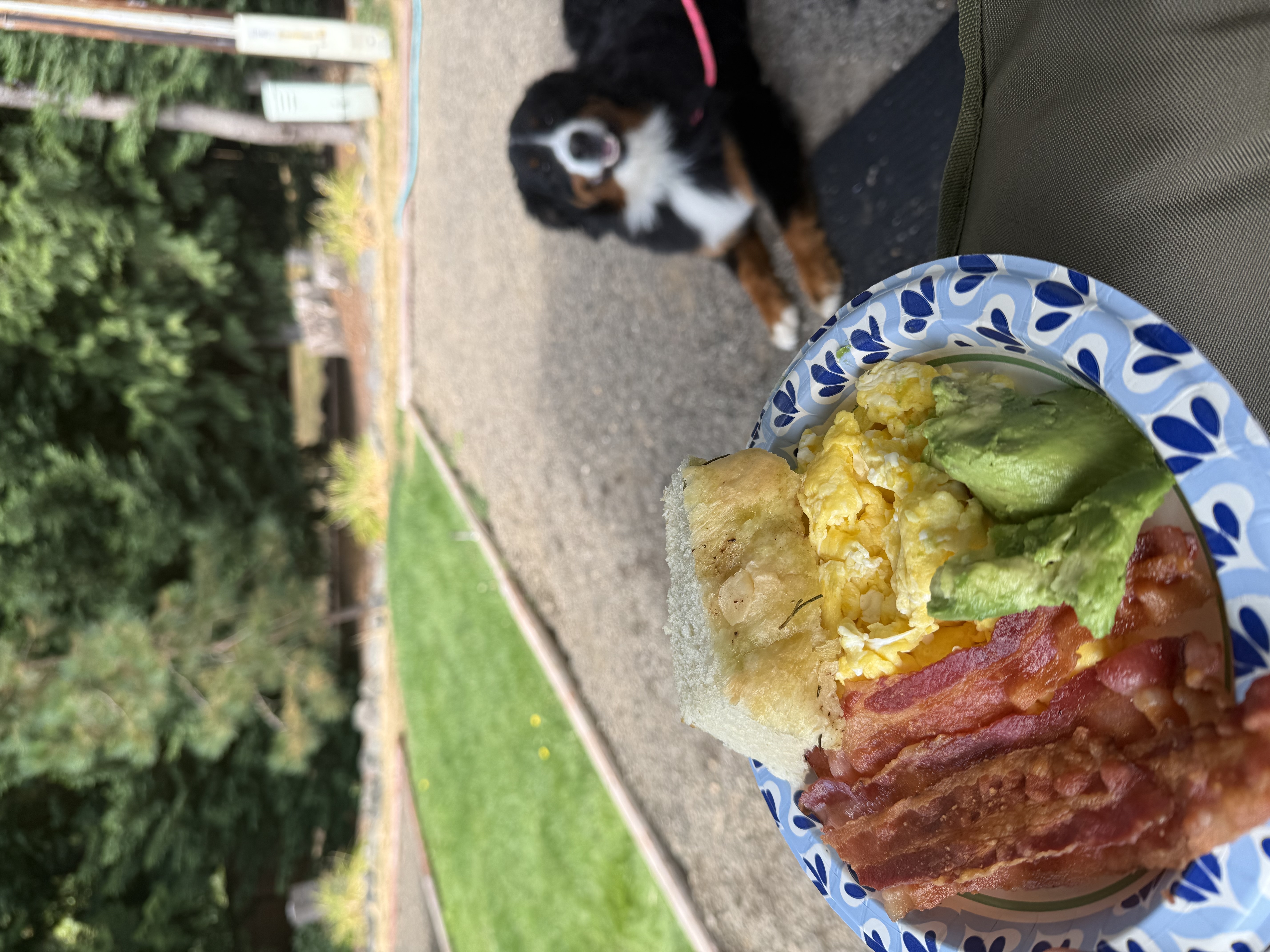 Breakfast setup with Liz nearby