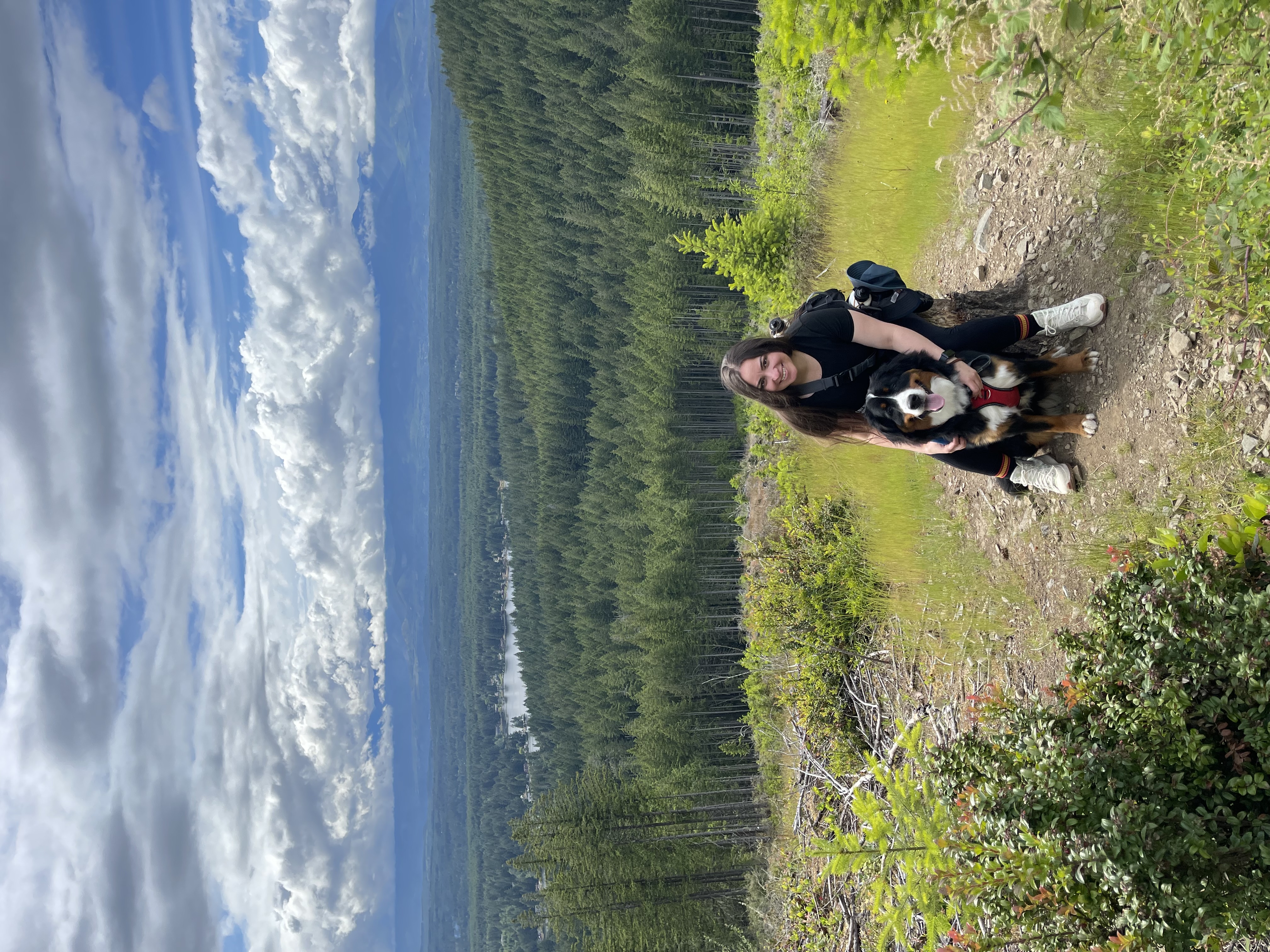 View from Green Mountain hike